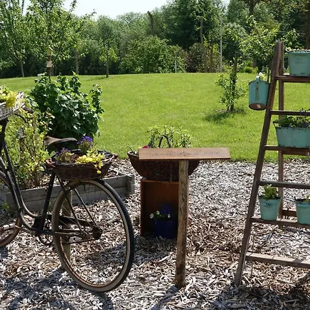 Le Manoir Des Aromes * Brugny-Vaudancourt